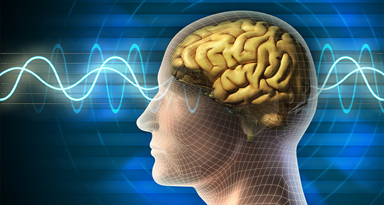 human brain waves addicts